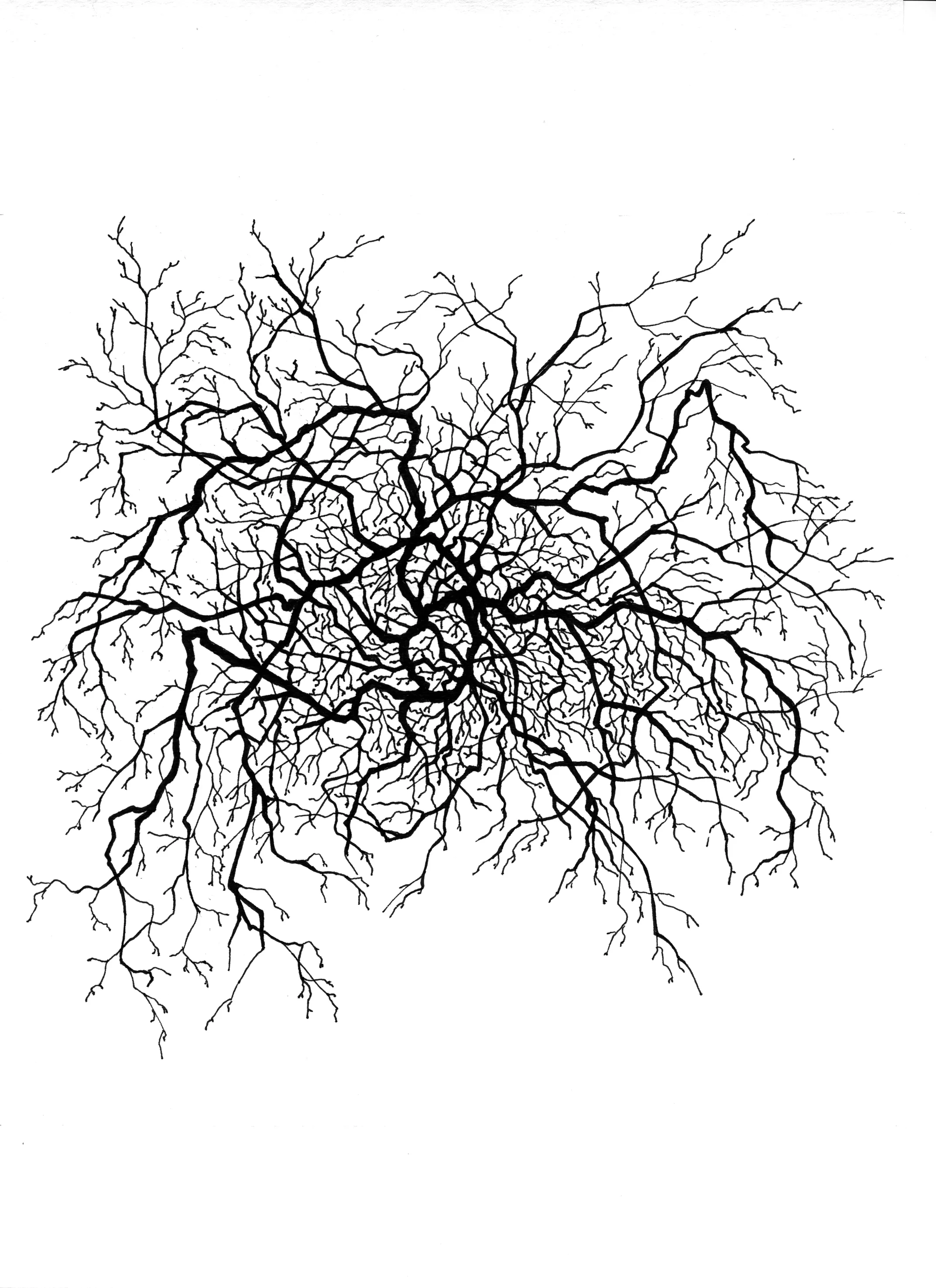 Tree. Ink on paper, 20x20 cm